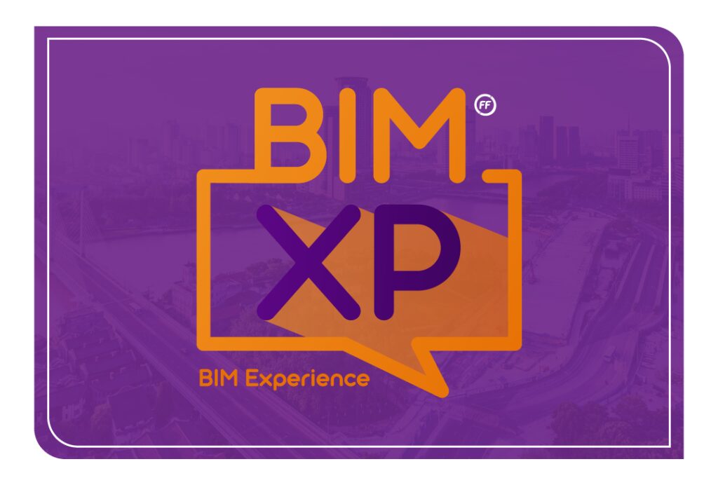 BIM Experience